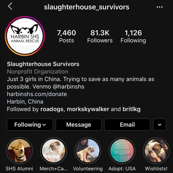 I’m donating portions of all my profits to animals - Picture 4 of 5